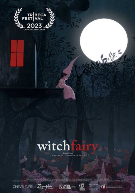 Witchfairy